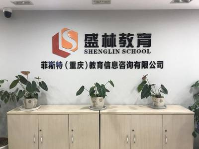 盛林教育暑假班 點燃智慧火花，成就未來之星