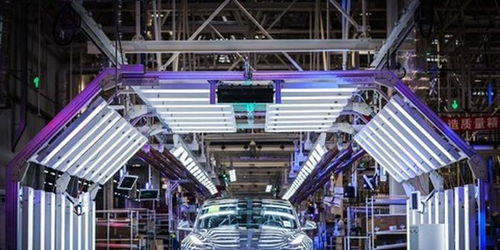 蔚來失守，誰能阻擋特斯拉的鐵蹄？